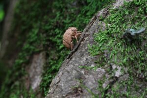 退職代行ユニオンとはどのようなサービスを提供しているのか？