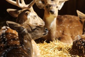 バイトを引き止められたときの効果的な断り方は？