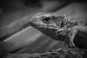 バックレ退職した後の生活はどうなる？