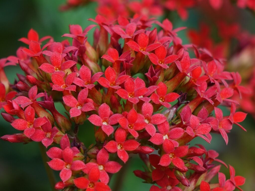 退職代行を使うべきか、メリットとデメリットは？