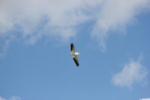 仕事を今すぐ辞めたい場合、どうするべきか？