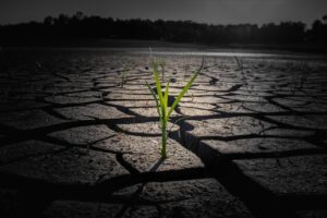 入ってすぐ辞める理由とその対策は？