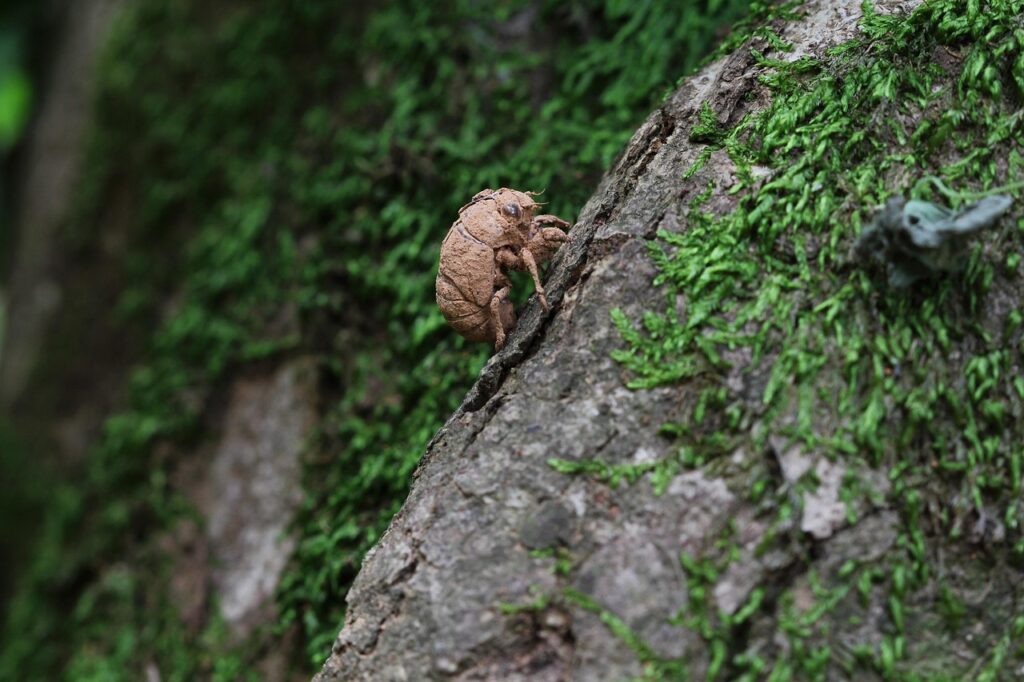 退職ライン挨拶のマナーと注意点は何ですか？