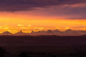 早く退職したい場合の効果的なステップは？