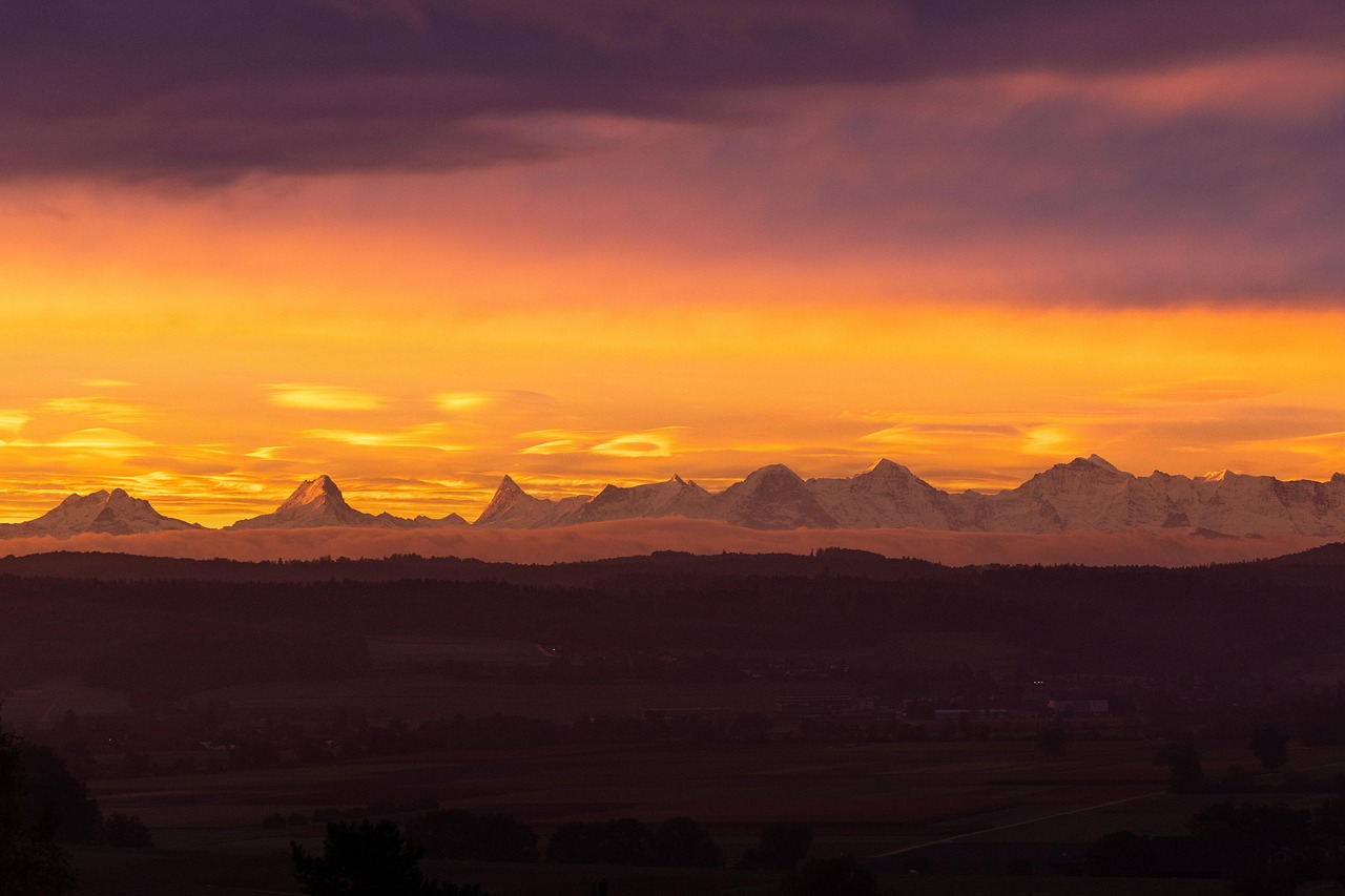 早く退職したい場合の効果的なステップは？