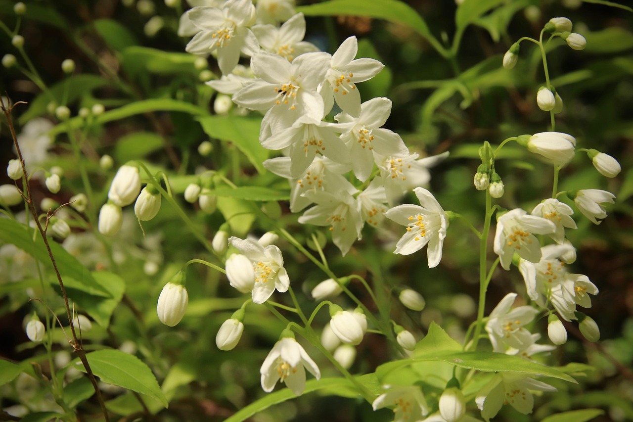 退職代行から連絡が来たらどう対処すべき？