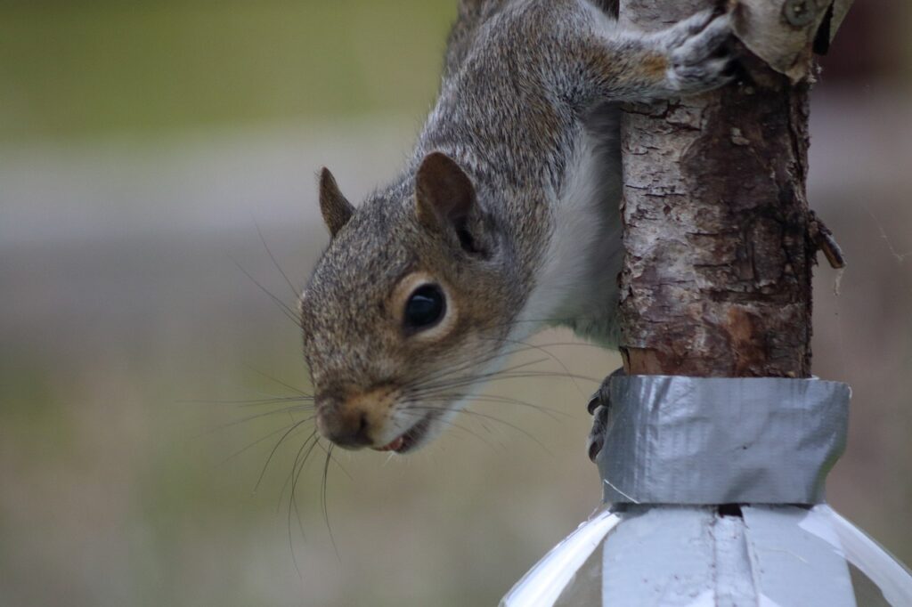 退職後の罪悪感を解消するための相談先はどこ？