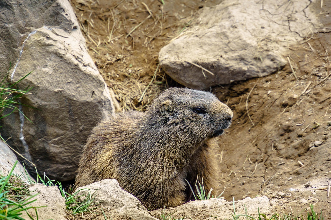 パワハラに悩むあなたが限界を感じた時の退職方法は？