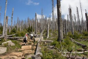 夜勤がつらいと感じるあなたが辞めたい理由とは？