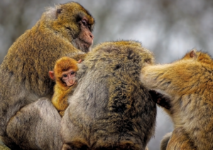 退職代行で失敗した具体的な例とは？