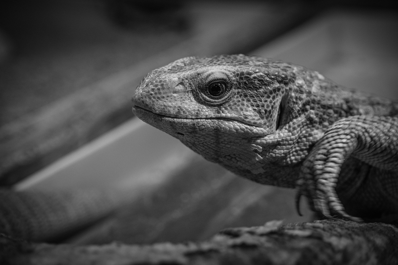 退職代行を利用した人の体験談とは？