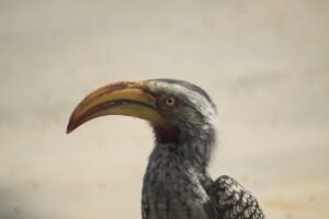 退職代行を利用した残業代請求の方法は？