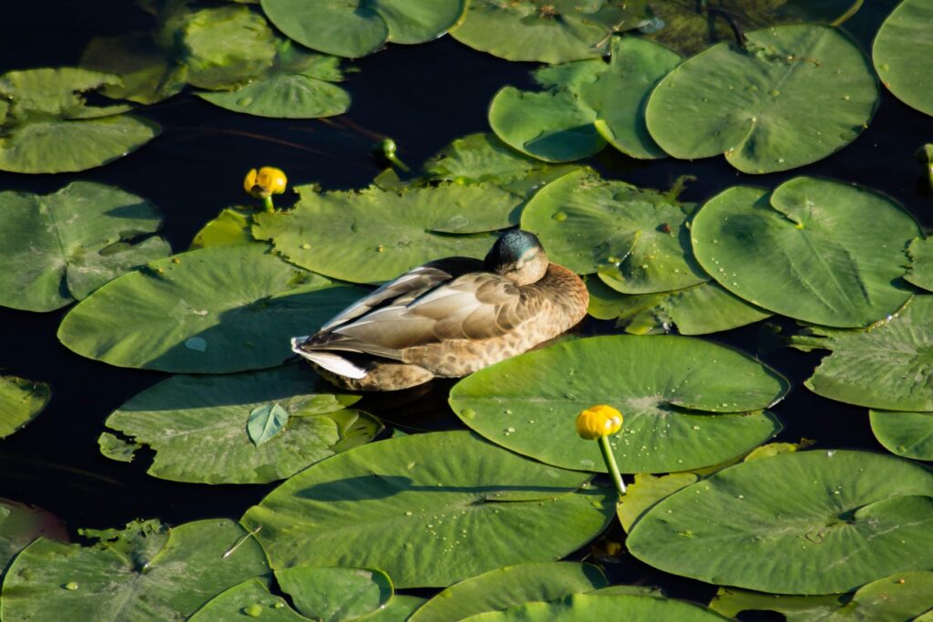 ハラスメントを理由に退職する際の注意点は？